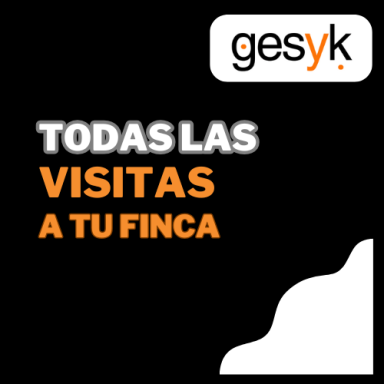Visitas en persona